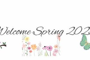 Exciting Spring 2025 Announcements for our Hair Loss Community